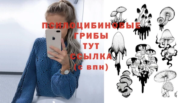синтетический гашиш Заволжье