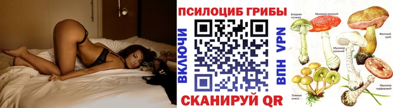 Купить где  Губкинский  Галлюциногенные грибы Cubensis 